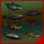 Freshwater fish collection